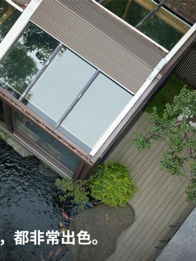 春节放烟花，炸出了多少“哀哀怨怨”